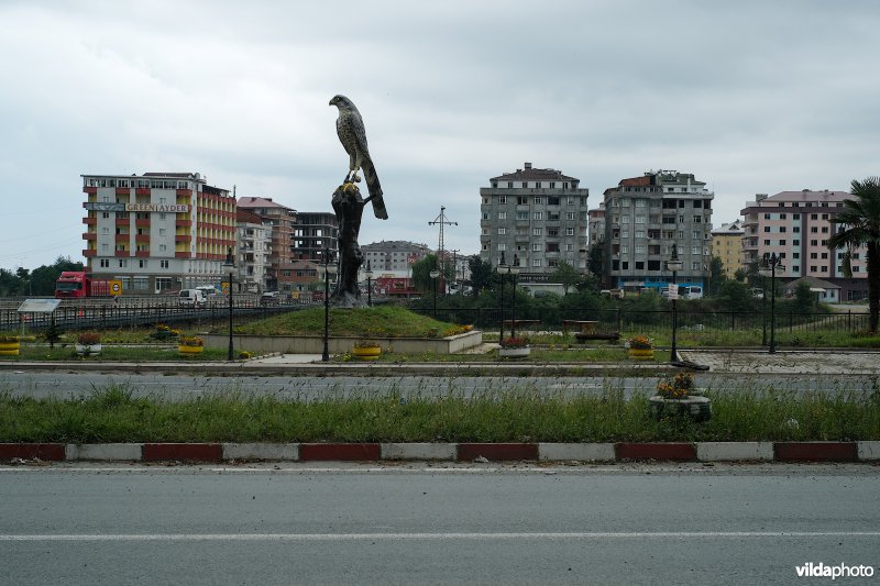 Sperwer-standbeeld in Arhavi, Turkije