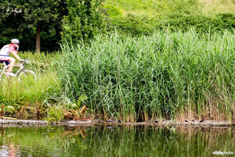 Natuurvriendelijke oever