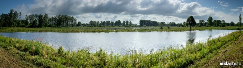 Vijver en overstroomde graslanden