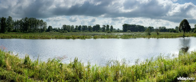 Vijver en overstroomde graslanden