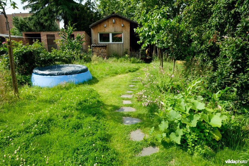Natuur- en kindvriendelijke tuin