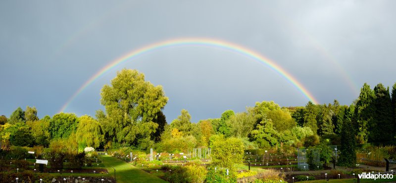 Dubbele regenboog in de plantentuin van Meise