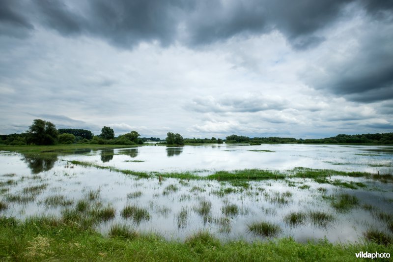 Gevuld wachtbekken