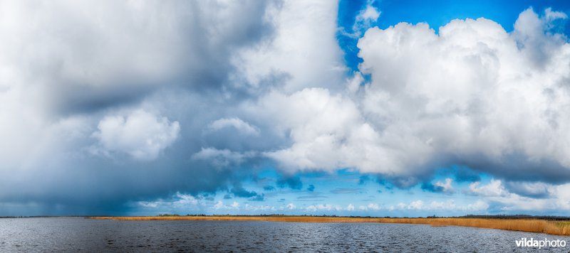 Lauwersmeer