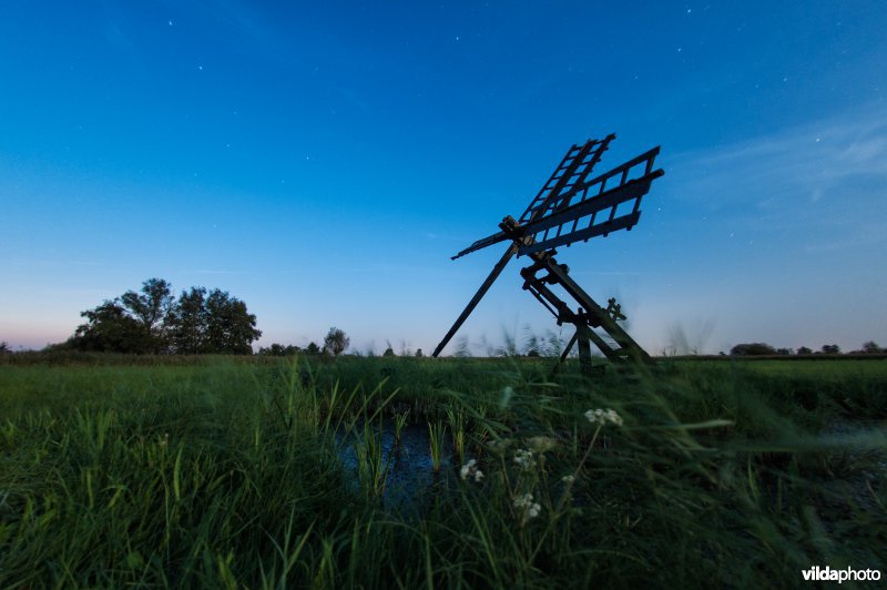 Tjaskermolen in De Wieden