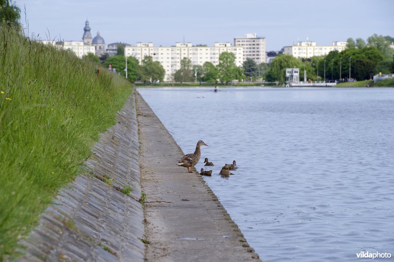 De Watersportbaan