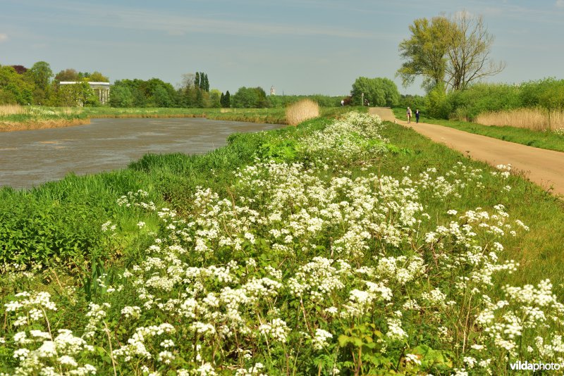 Vallei van de Beneden Nete