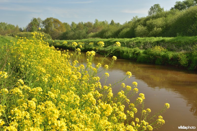 Vallei van de Grote Nete