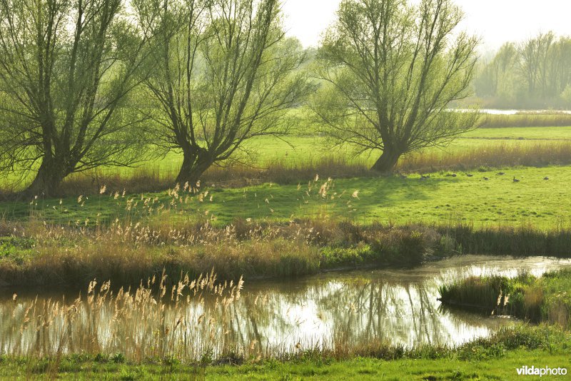 KBR polder