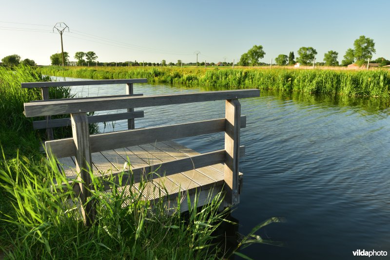 Vissteiger aan de Bourgognevaart