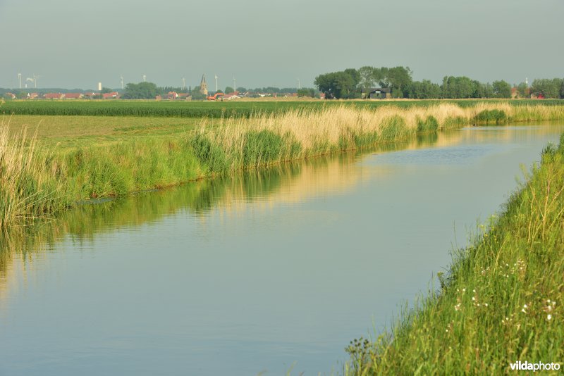 Blankenbergse vaart