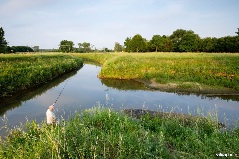 Demer aan de inlaatsluis van het Schulensmeer