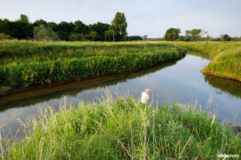 Demer aan de inlaatsluis van het Schulensmeer