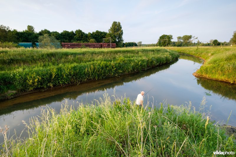 Demer aan de inlaatsluis van het Schulensmeer