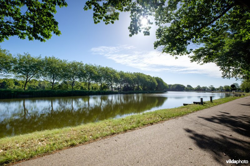 Kanaal Bocholt-Herentals in Limburg