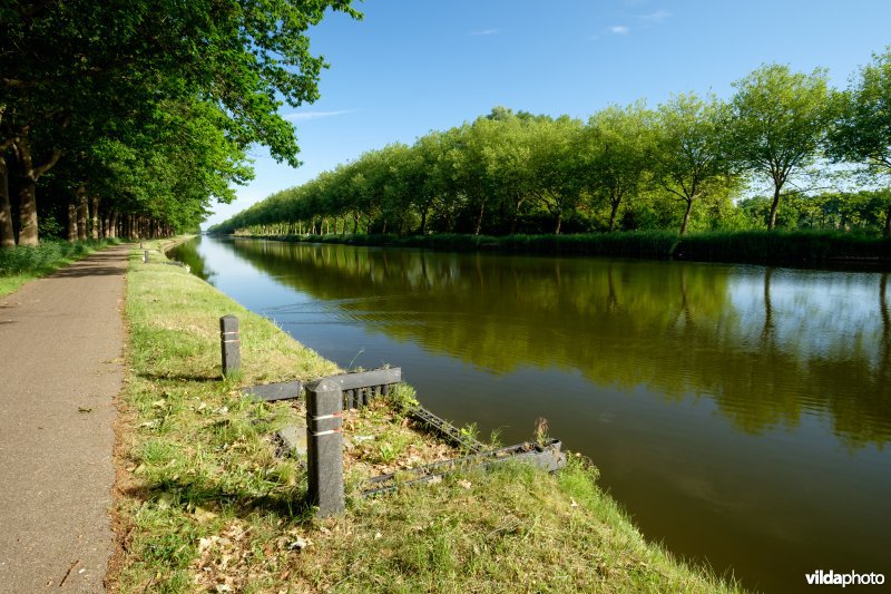 Kanaal Bocholt-Herentals in Limburg