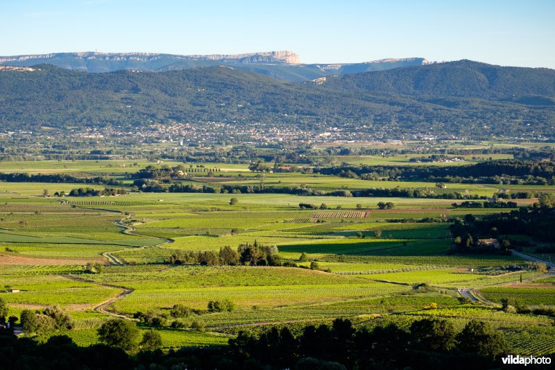 Zicht over de Provence