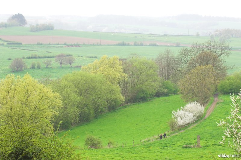 Bosreservaat Veursbos