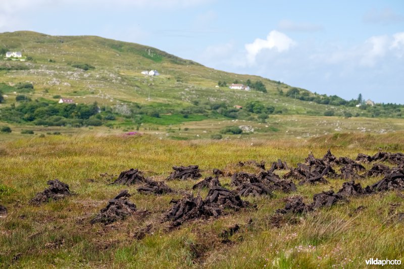 Veenwinning in Ierland