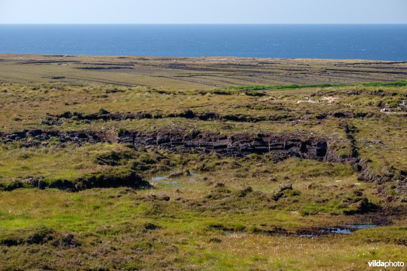 Veenwinning in Ierland