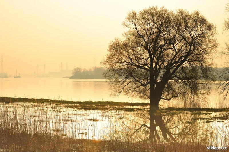 Het Kijkverdriet langs de Schelde