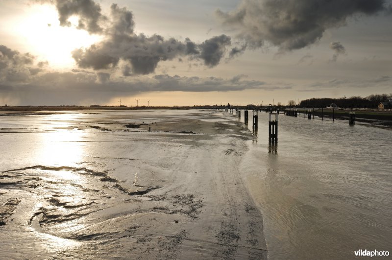 De IJzermonding bij laagtij