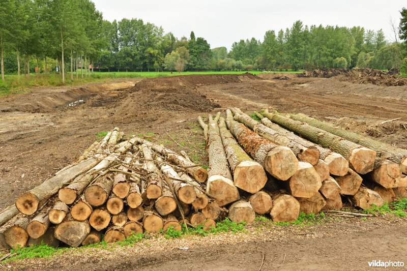 Rooiwerken in de Vlassenbroekse polders