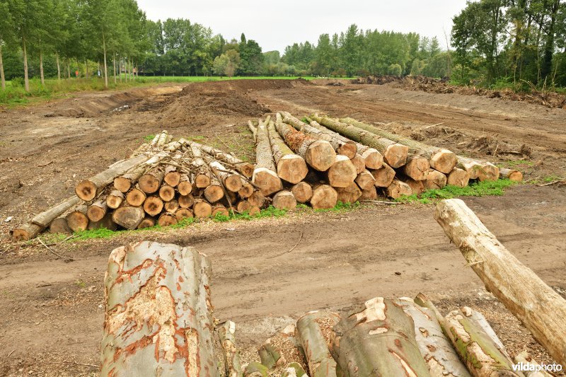 Rooiwerken in de Vlassenbroekse polders