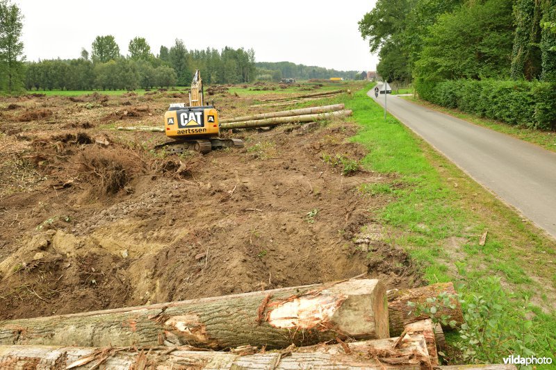 Rooiwerken in de Vlassenbroekse polders