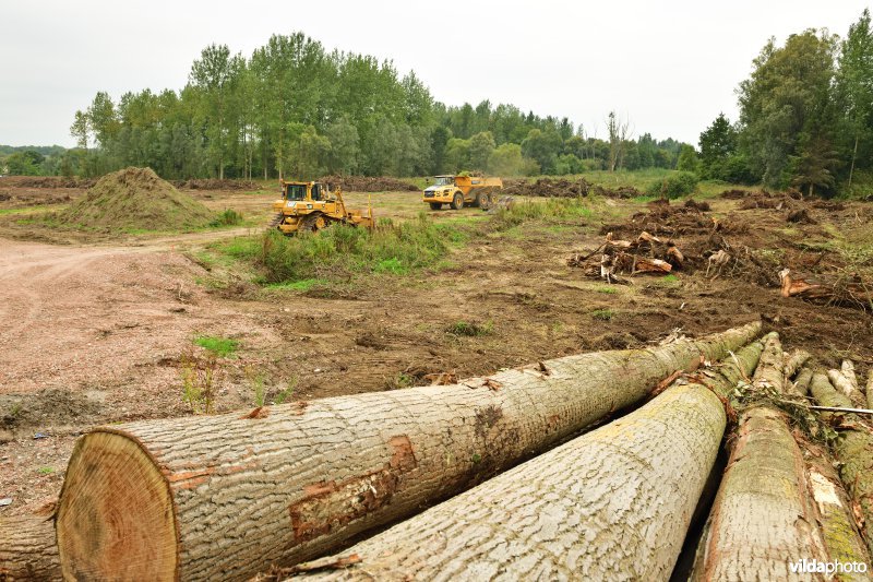 Rooiwerken in de Vlassenbroekse polders