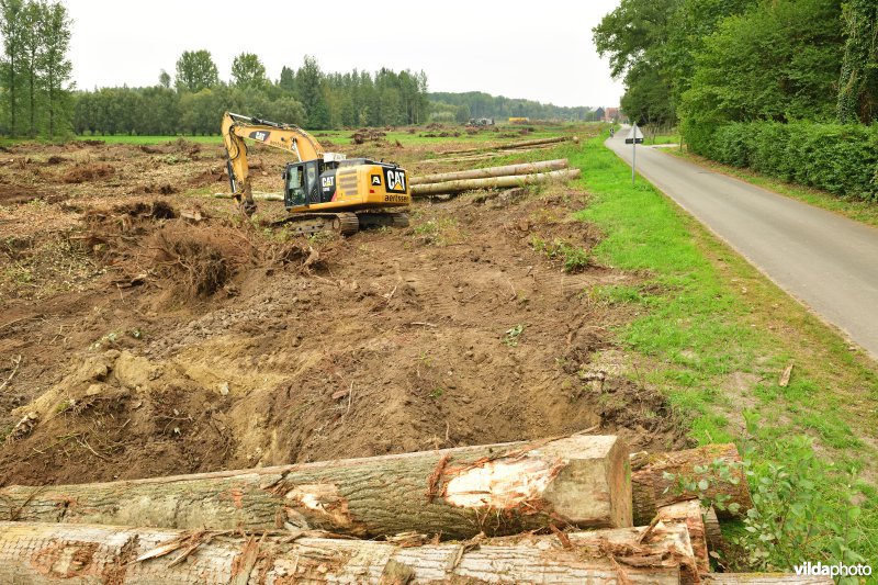 Rooiwerken in de Vlassenbroekse polders