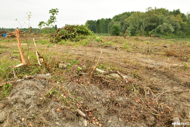 Vlassenbroekse polder