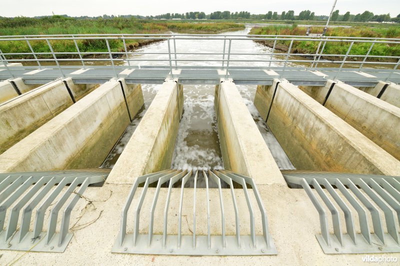 Zennegat