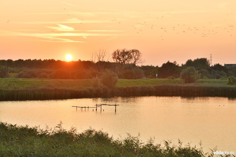 Natuurreservaat Lier-Anderstad