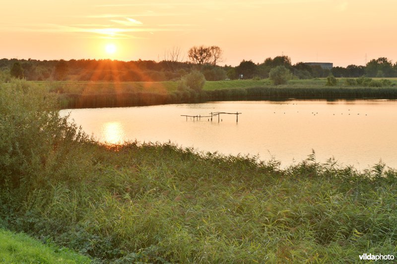 Natuurreservaat Lier-Anderstad