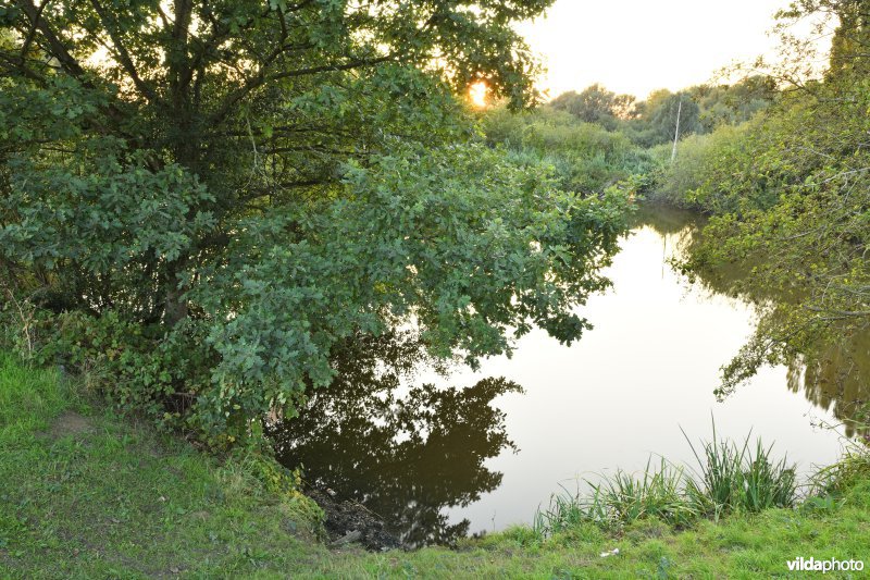 Natuurreservaat Lier-Anderstad