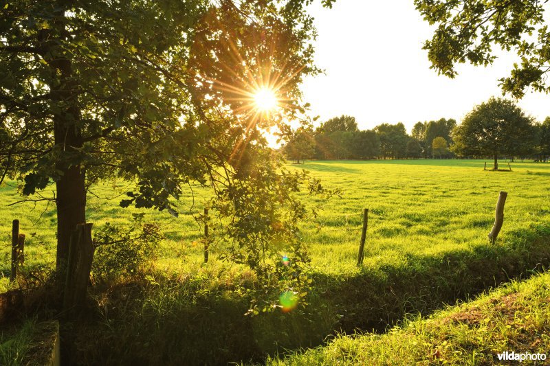 Vallei van de Beneden Nete: Polder van Lier