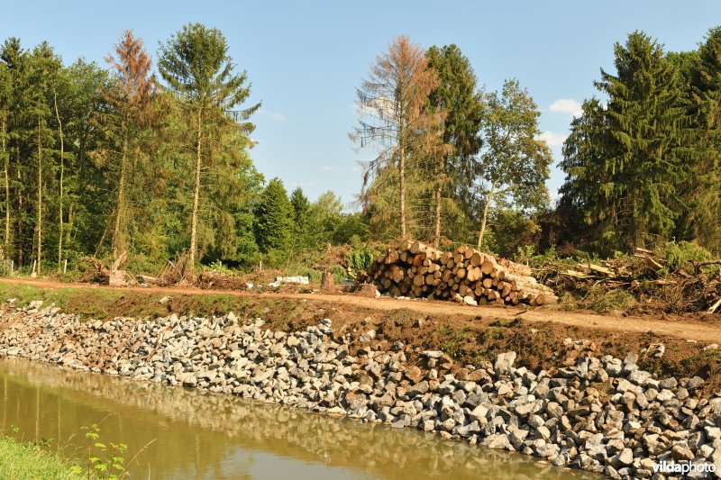 Natuurherstelwerken aan de Grote Nete