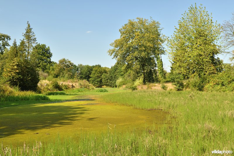 Vallei van de Grote Nete: Zammels buitenbroek