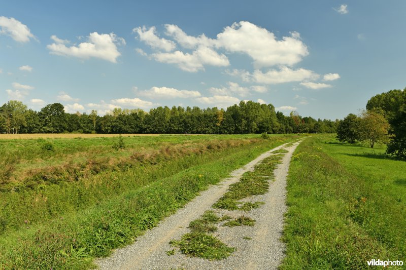 Demerdijk - Zuid