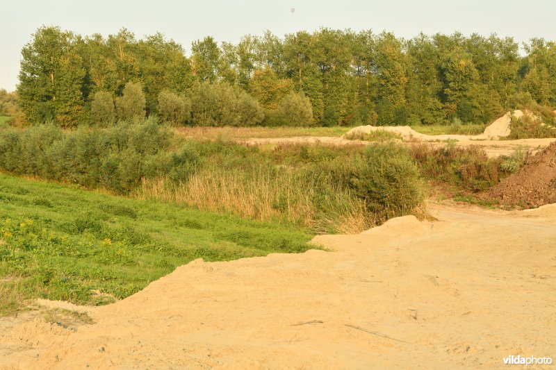 Vlassenbroekse polder