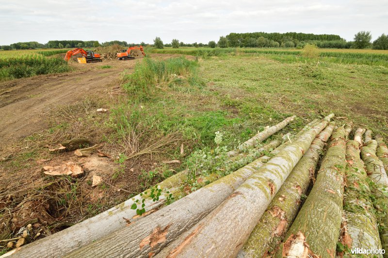 Oude Schelde in de Kalkense meersen