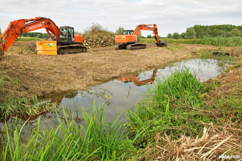 Oude Schelde in de Kalkense meersen