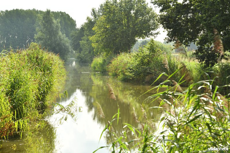 Kalkenvaart in de Kalkense meersen