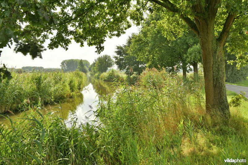 Kalkenvaart in de Kalkense meersen