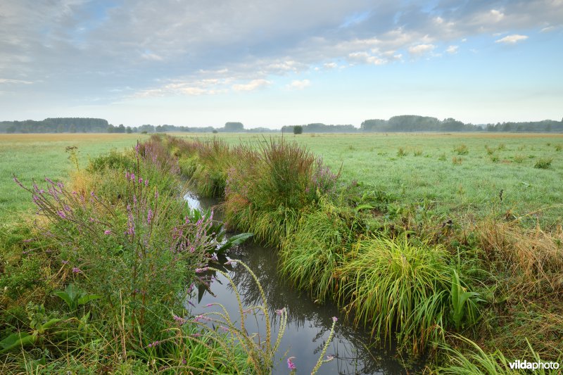 Kalkense Meersen