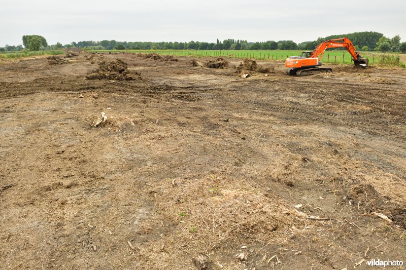 Oude Schelde in de Kalkense meersen