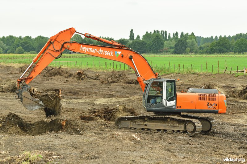 Oude Schelde in de Kalkense meersen