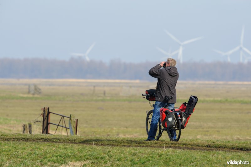 Vogels kijken in de Eempolder