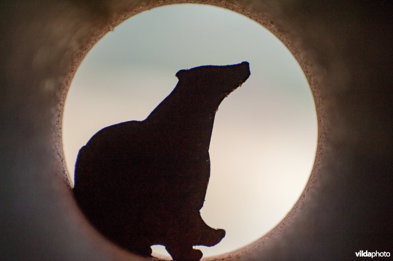 Silhouet in een educatieve tentoonstelling